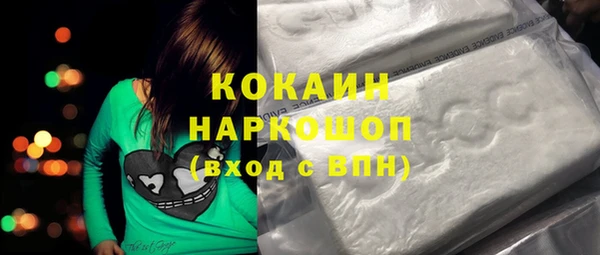 бошки Няндома