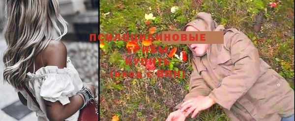 таблы Богданович