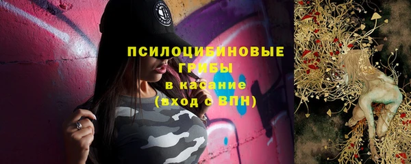 дурь Белокуриха