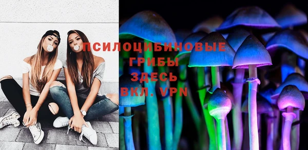 таблы Богданович