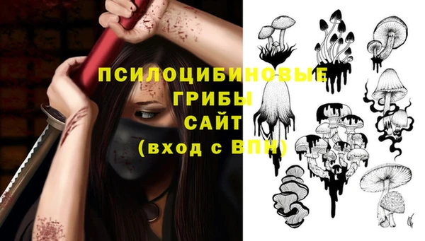 соль ск Нязепетровск