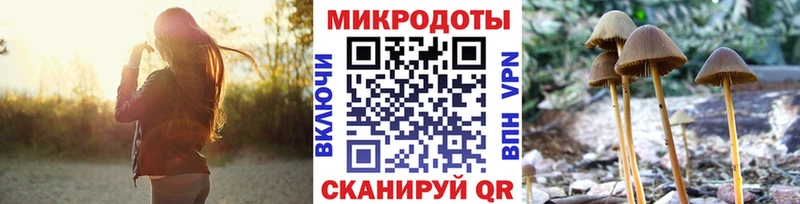 мориарти телеграм Боровск Галлюциногенные грибы Magic Shrooms
